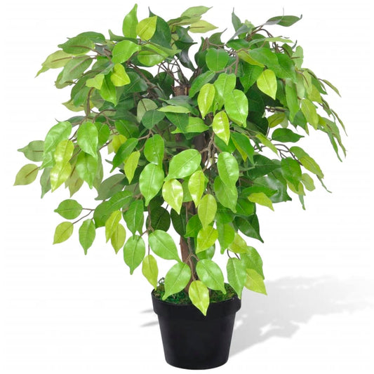Pianta Artificiale di Fico Nano 60 cm - Soggiorno - 1
